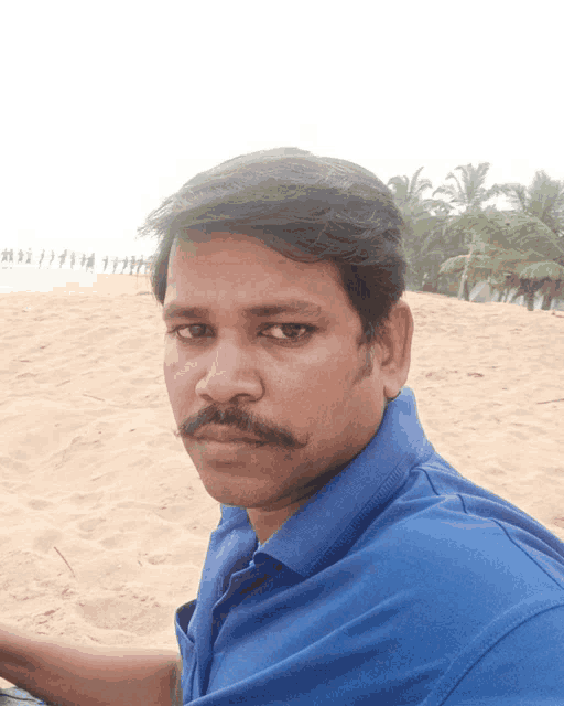 a man with a mustache wearing a blue shirt looks at the camera