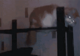 a blurry picture of a person standing in a dark room with a blurred background .