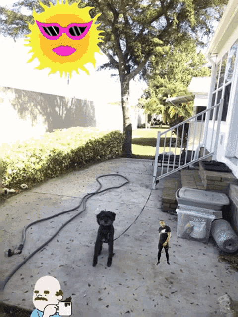 a dog wearing pink sunglasses is standing on a concrete patio
