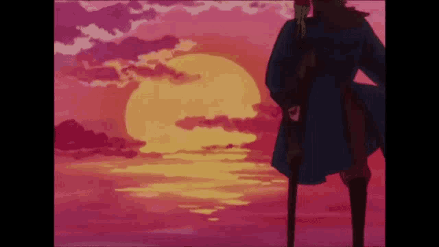 a man in a blue coat stands in front of a pink sunset