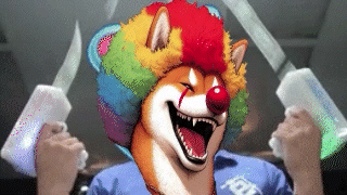 Clown Dog Dfinity GIF - Clown Dog Dfinity Crypto GIFs