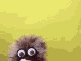 a stuffed monkey with glasses and a bandana on its face is standing in front of a yellow background .