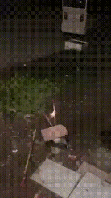 Idiot Fireworks GIF - Idiot Fireworks Funny As Hell GIFs