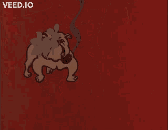 a cartoon of a bulldog smoking a pipe with the words " veed.io " in the corner