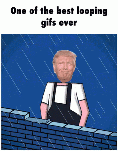 Trump Looping GIF - Trump Looping Wall GIFs