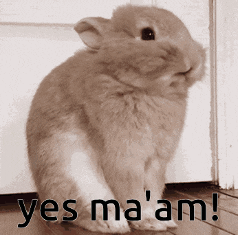 a brown and white rabbit is sitting in front of a door with the words yes ma 'am written on it