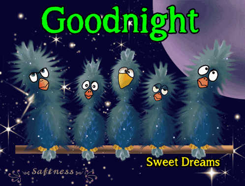 a cartoon of birds sitting on a branch with the words goodnight sweet dreams