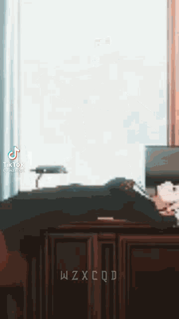 a person is laying on a bed in front of a window in a bedroom .