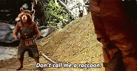 Rocket Racoon Dont Call Me A Raccoon GIF - Rocket Racoon Dont Call Me A Raccoon Gotg GIFs