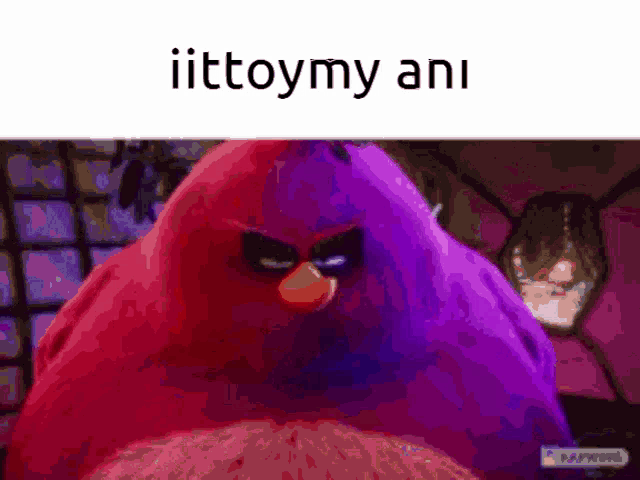 a picture of an angry bird with a caption that says ' ittomy ani '