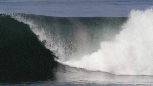 Fist Pump GIF - Extreme Sports Sports Surfing GIFs