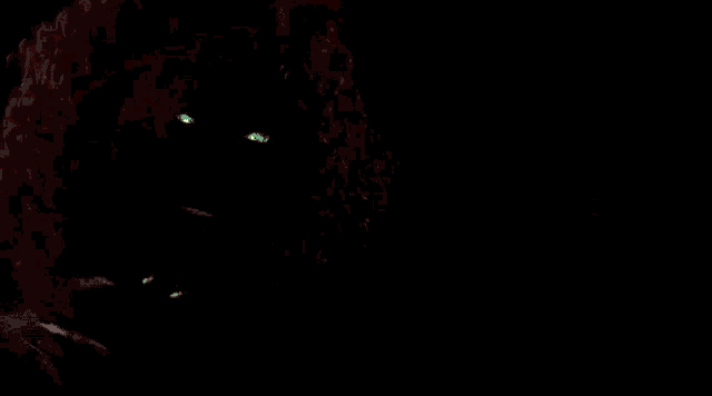 a close up of a person surrounded by flames