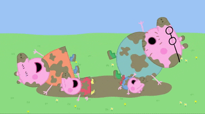 a group of pigs are laying in a muddy puddle .