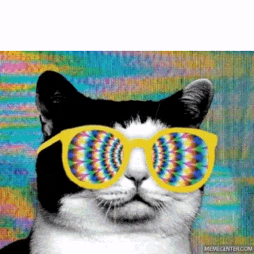 a black and white cat wearing sunglasses with a rainbow effect