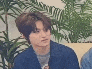 a young man in a denim jacket is sitting in front of a plant .