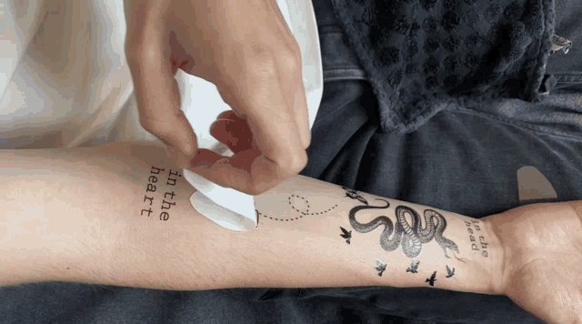 a person has a tattoo of a snake and birds on their arm