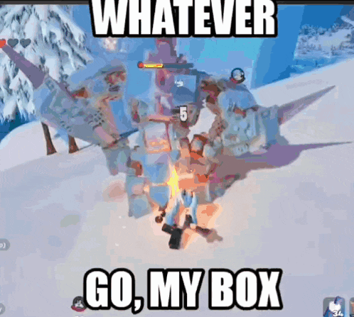a screenshot of a video game with the words " whatever go my box "