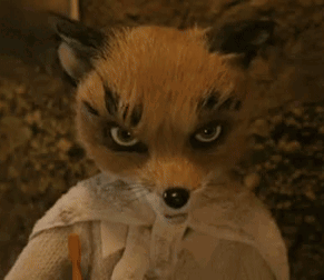 Ash Fox Fantastic Mr Fox GIF - Ash Fox Fantastic Mr Fox Ash Fantastic Mr Fox GIFs