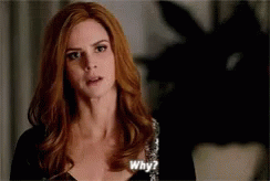 Donna Suits GIF - Donna Suits Why GIFs
