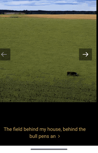 a picture of a field with the words the field behind my house behind the bull pens an below it