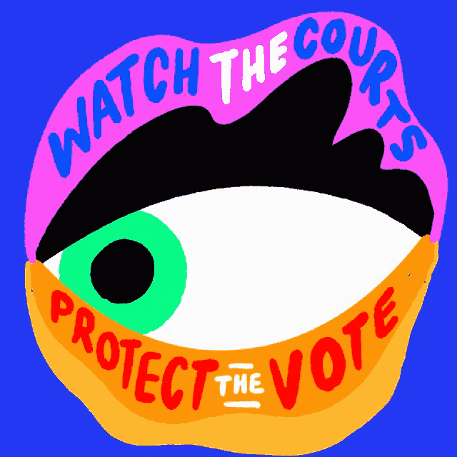 a colorful eye with the words watch the courts protect the vote written around it