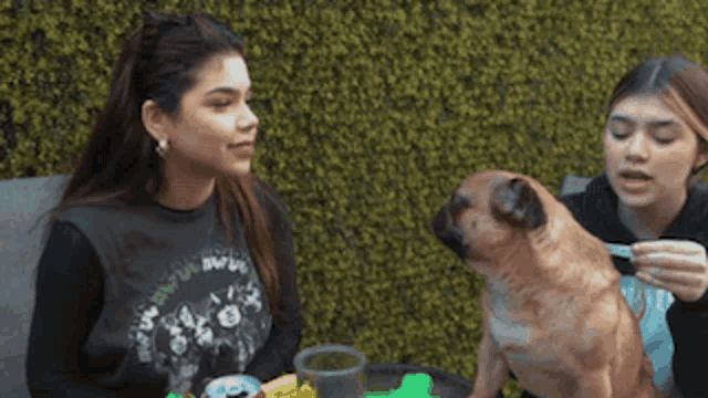 two girls are sitting at a table with a pug dog