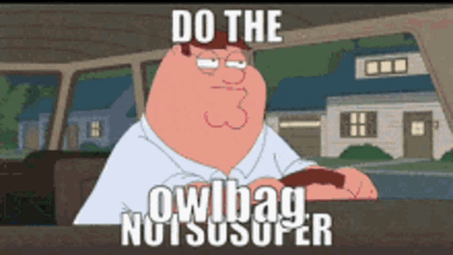 peter griffin from family guy is driving a car and says do the owlbag nutsusufer