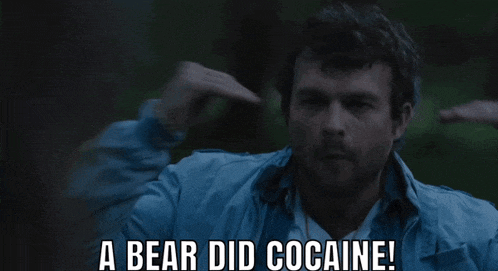 a man says " a bear did cocaine " in a dark room