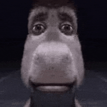 a close up of a cartoon character 's face with a horse 's head .