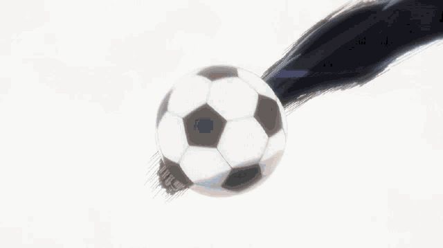 a black and white soccer ball is being kicked in the air