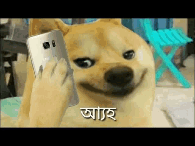 a dog is smiling while holding a cell phone in its paw .