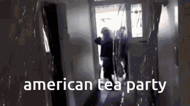 America Fbi GIF - America Fbi Tea Party GIFs