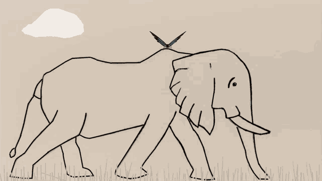 Elephants Walking GIF - Elephants Walking Animated GIFs