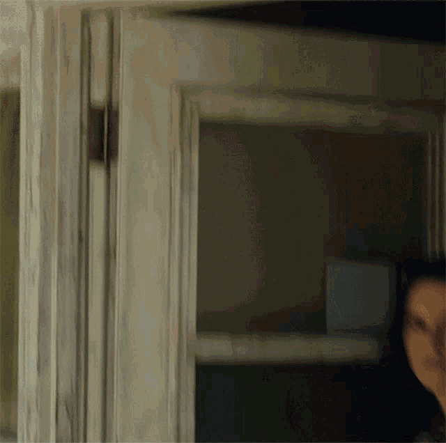 a blurred image of a woman standing in front of a window