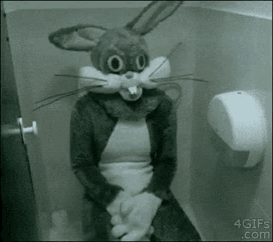 Bunny Mascot GIF - Bunny Mascot Toilet GIFs