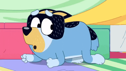 a blue dog with a black spot on its chest is laying on a colorful rug .