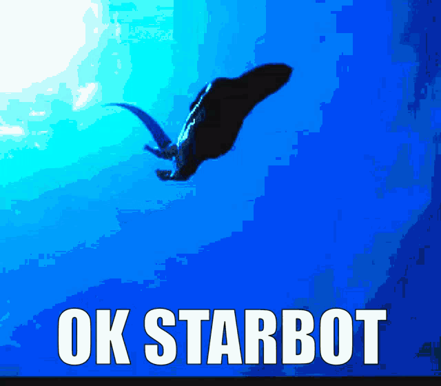 a blue background with the words ok starbot