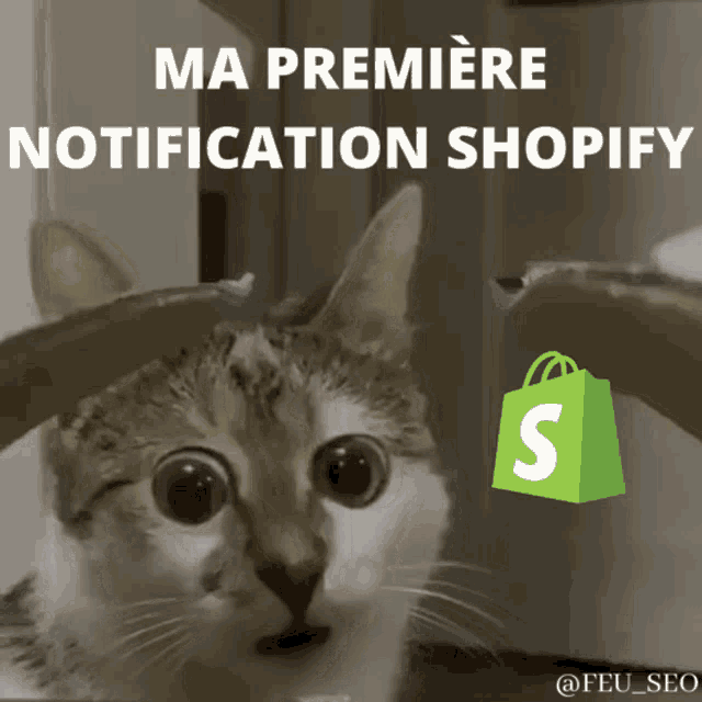 Shopify Notification GIF - Shopify Notification 1ière Vente GIFs