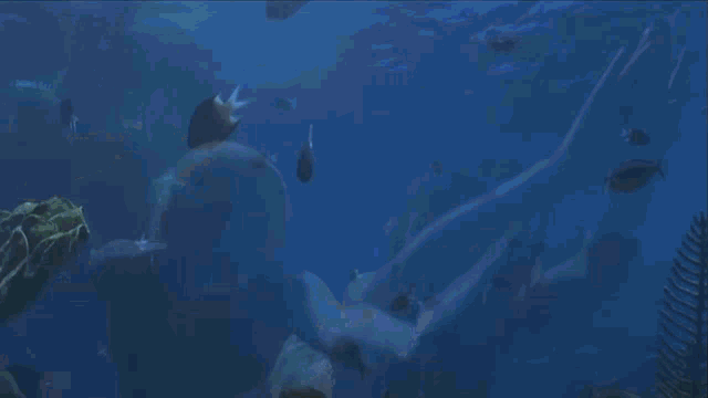 a person is swimming in the ocean with their hands out