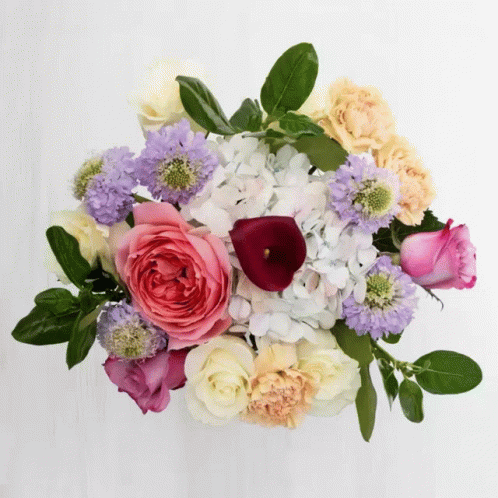 Luxury Flower Delivery Diy Flowers GIF - Luxury Flower Delivery Diy Flowers GIFs