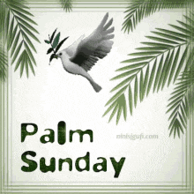 a palm sunday greeting card with a dove flying in the air