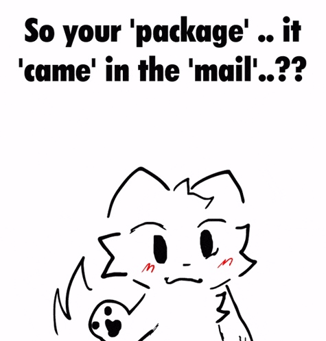 a drawing of a cat with the words " so your package came in the mail "