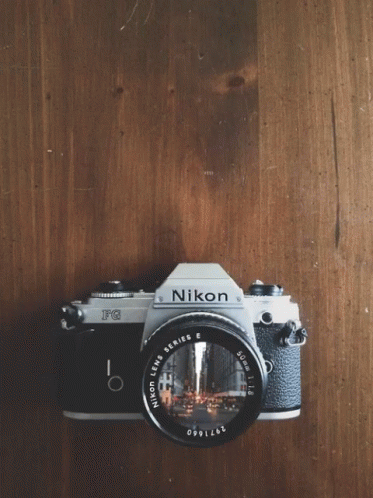 National Camera Day Travel GIF - National Camera Day Travel Picture GIFs