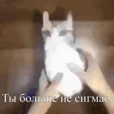 a blurry picture of a person holding a white cat with the words " ты больше не сигмаc " written below it