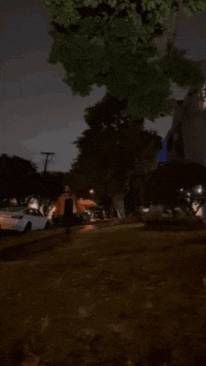 a man in a red jacket is standing in a park at night