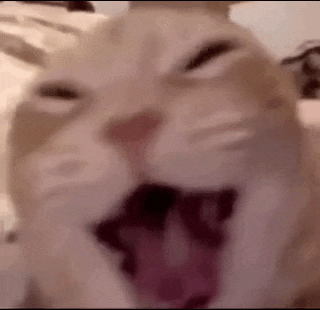a close up of a cat with its mouth open and its tongue out .
