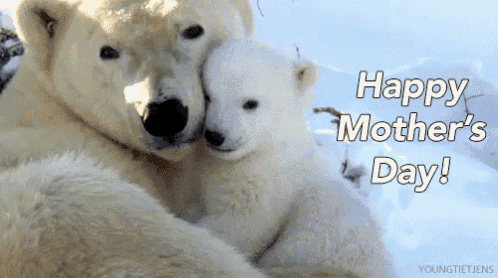 two polar bears hugging with the words happy mother 's day