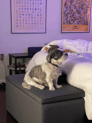 a small dog sitting on a ottoman in front of a poster of the simpsons