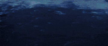 Shorekeeper The Shorekeeper GIF