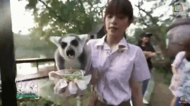 a girl in a school uniform is holding a lemur and a flower in her hands